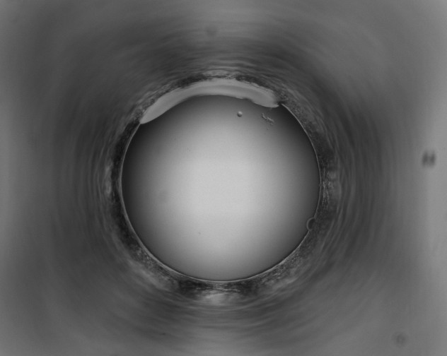 X0000100470504200806201609