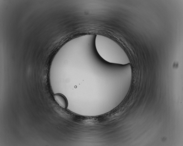 X0000100470505200806201609