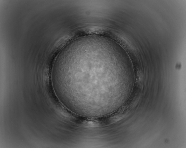 X0000100470506200806201609