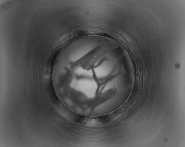 X0000100470507200806201609