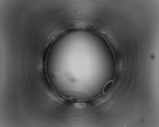 X0000100470508200806201609