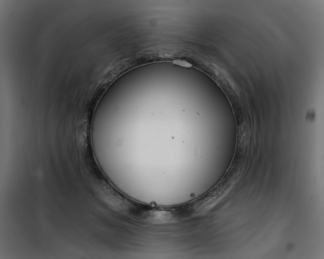 X0000100470509200806201609