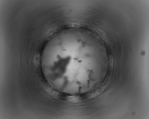 X0000100470511200806201609