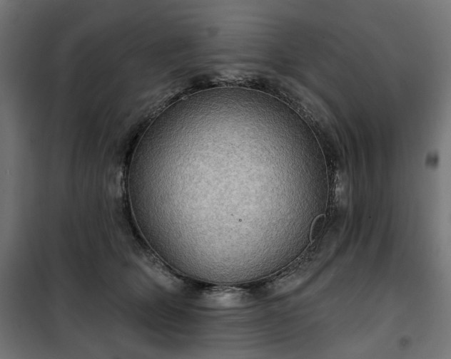 X0000100470514200806201609