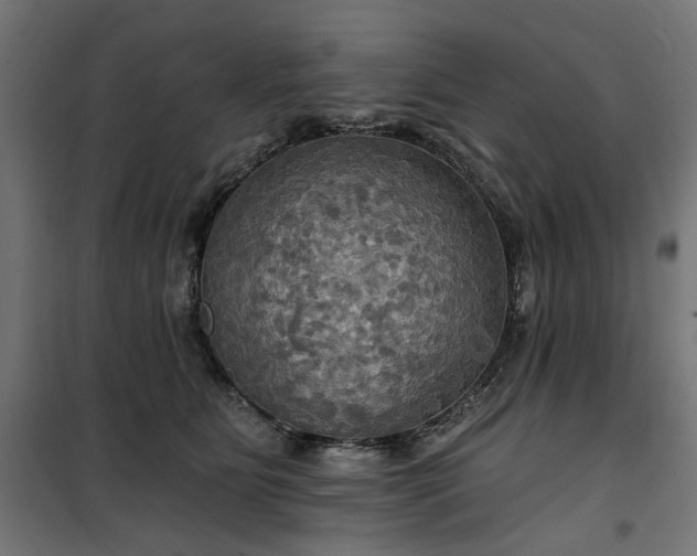 X0000100470515200806201609