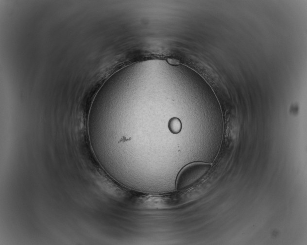 X0000100470518200806201609