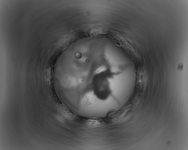 X0000100470519200806201609