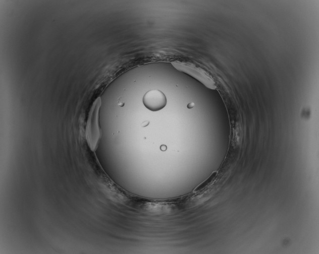 X0000100470520200806201609