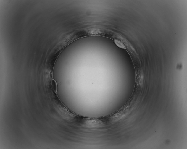 X0000100470521200806201609