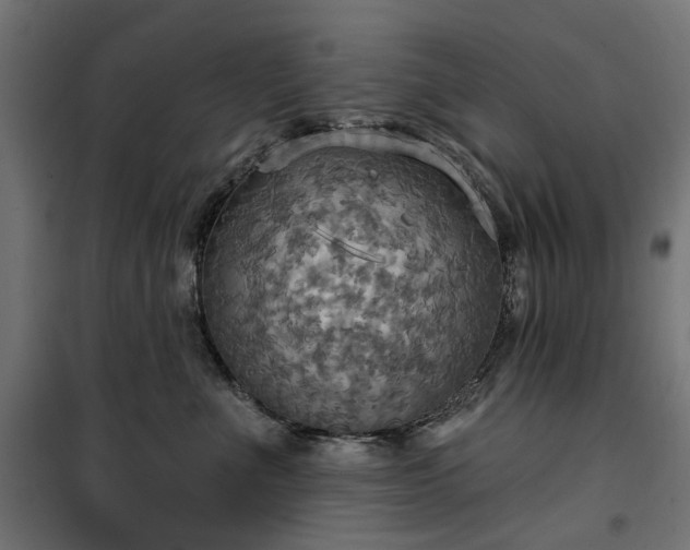 X0000100470523200806201609