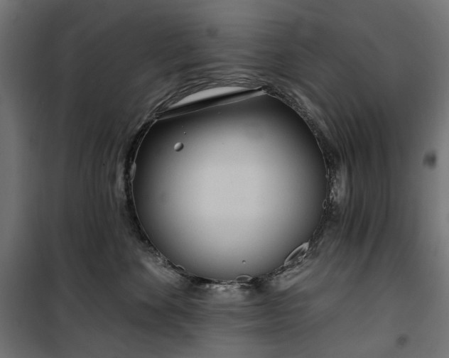 X0000100470524200806201609