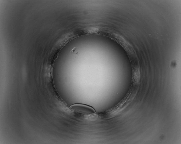 X0000100470525200806201609