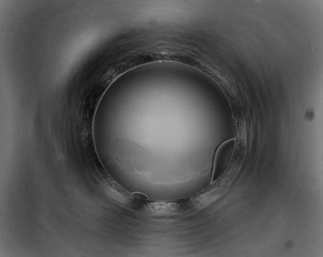 X0000100470526200806201609