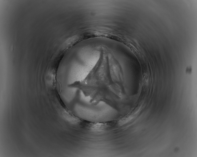 X0000100470527200806201609