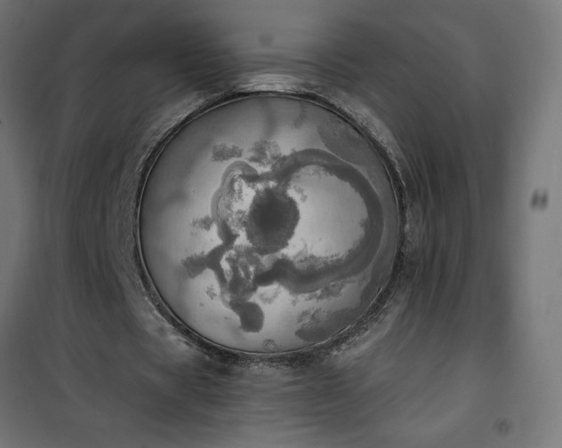 X0000100470529200806201608