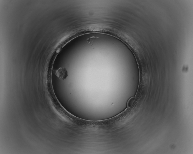 X0000100470530200806201608