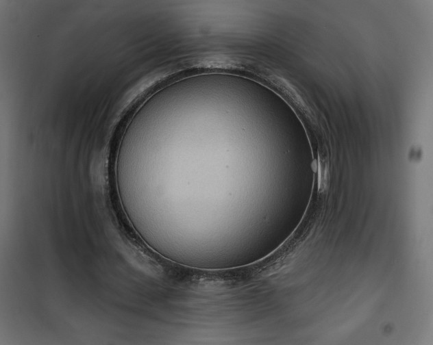 X0000100470531200806201608