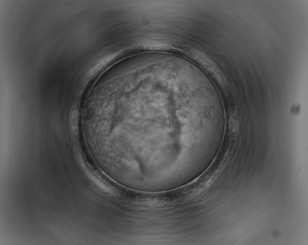 X0000100470533200806201608