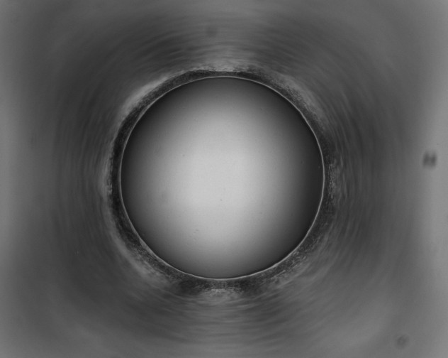 X0000100470536200806201609