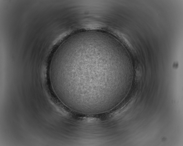 X0000100470539200806201609