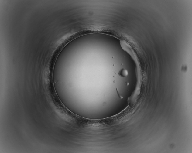 X0000100470540200806201609