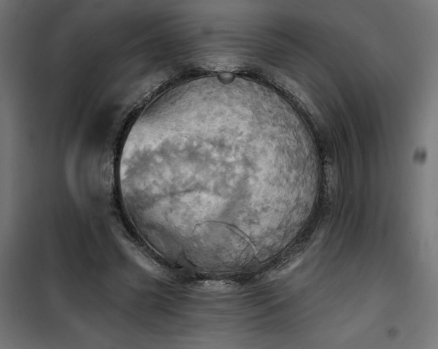 X0000100470541200806201609