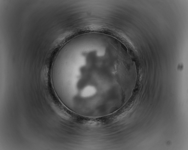 X0000100470542200806201609