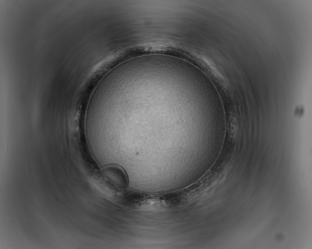 X0000100470543200806201609