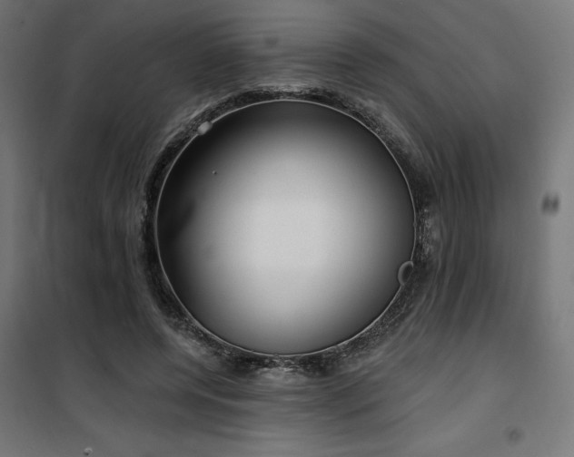 X0000100470544200806201609