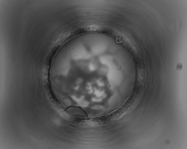 X0000100470545200806201609