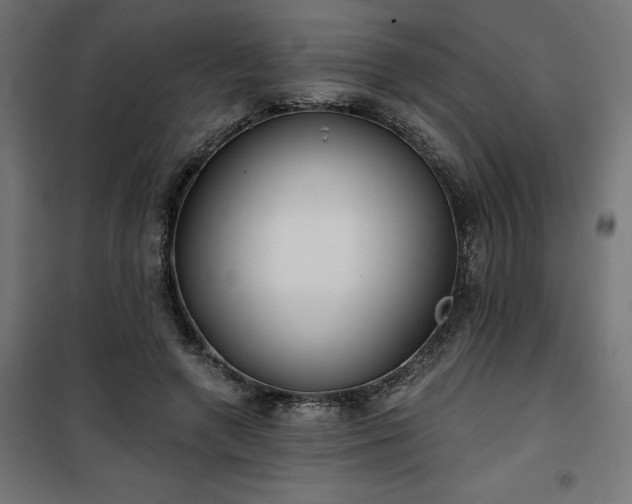 X0000100470546200806201609