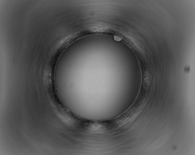 X0000100470547200806201609