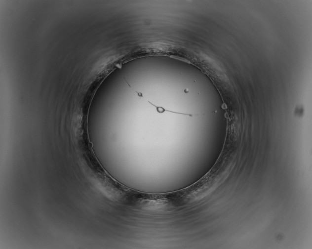 X0000100470548200806201609