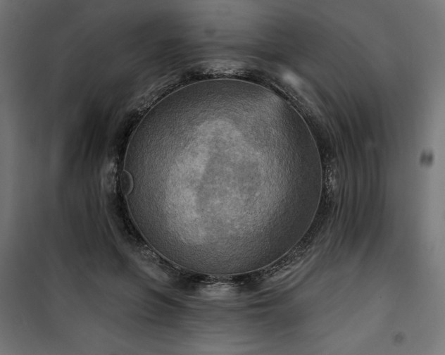 X0000100470551200806201609