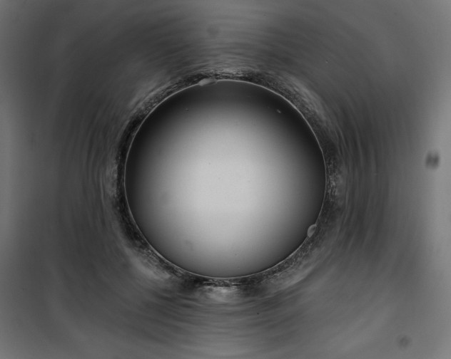 X0000100470552200806201609