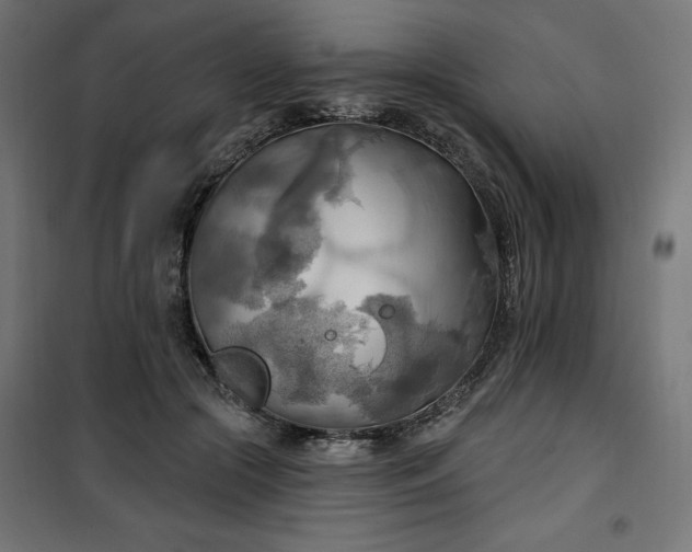 X0000100470553200806201609