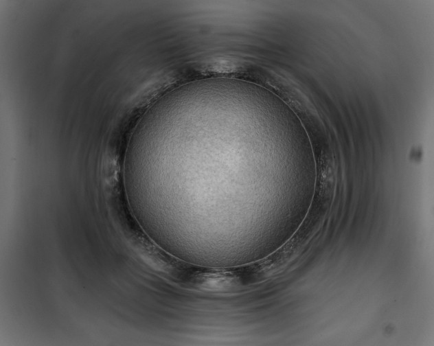 X0000100470555200806201609