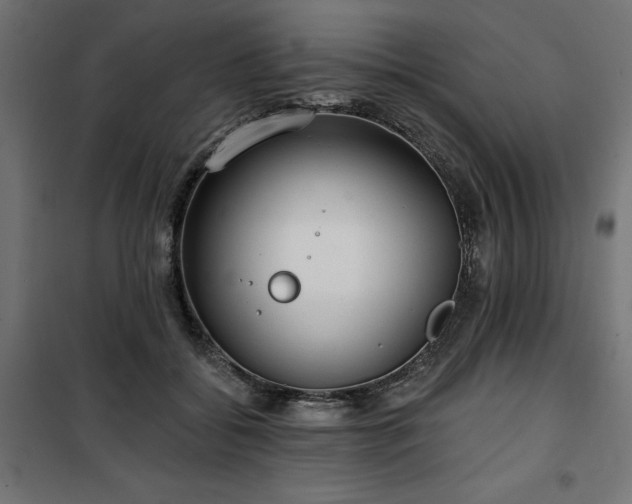 X0000100470556200806201609