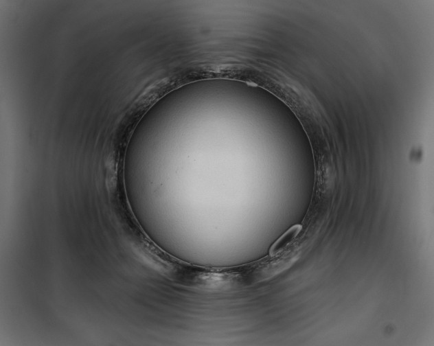 X0000100470558200806201609