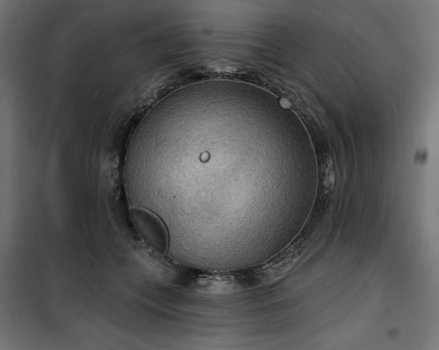 X0000100470559200806201609