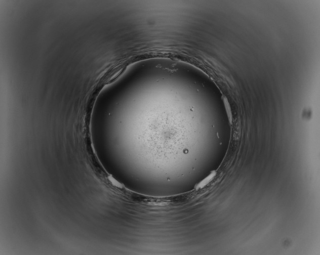 X0000100470560200806201609