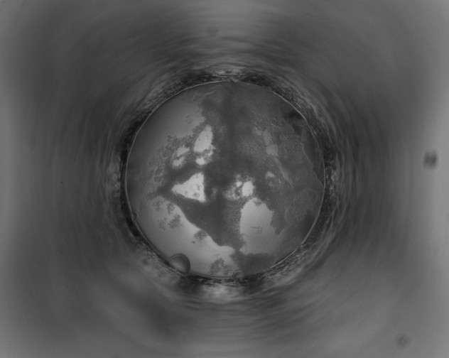 X0000100470561200806201609