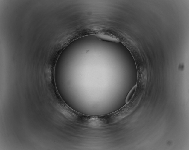 X0000100470562200806201609