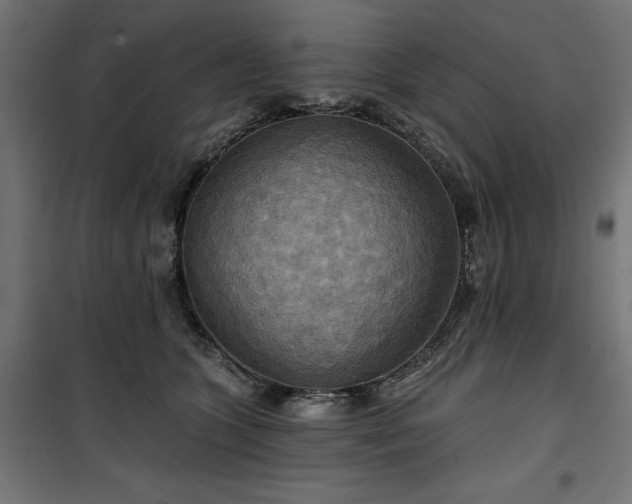 X0000100470563200806201609