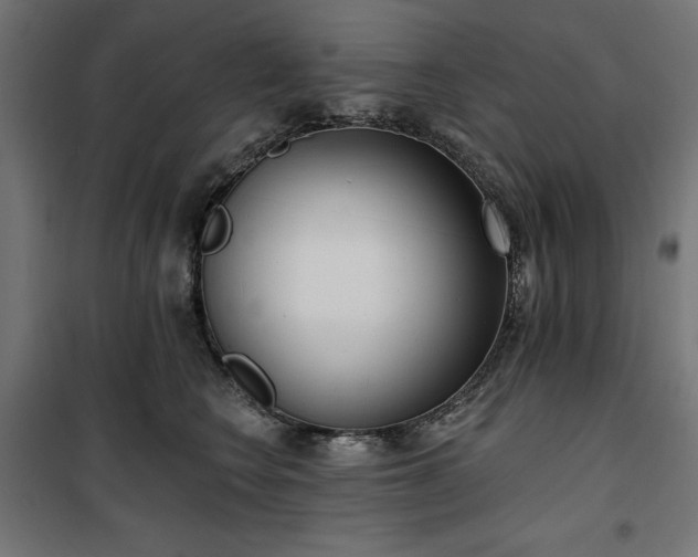 X0000100470566200806201609