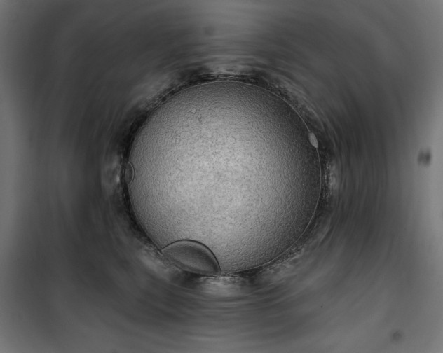 X0000100470567200806201609