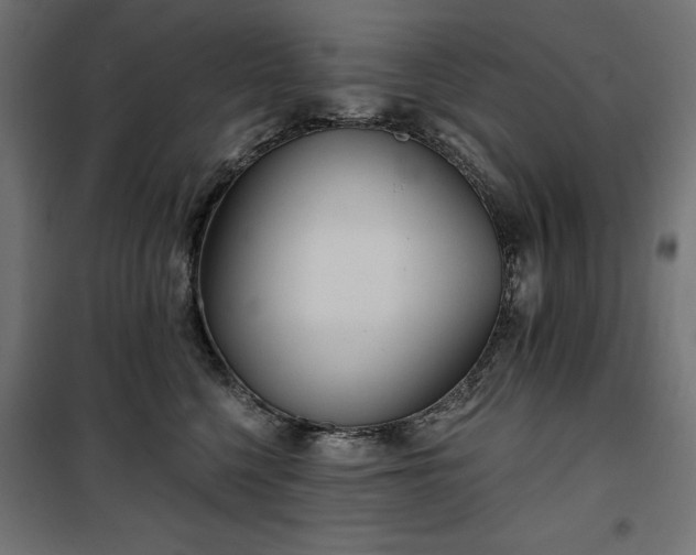 X0000100470568200806201609