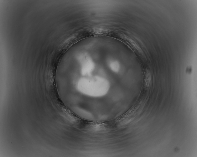 X0000100470569200806201609