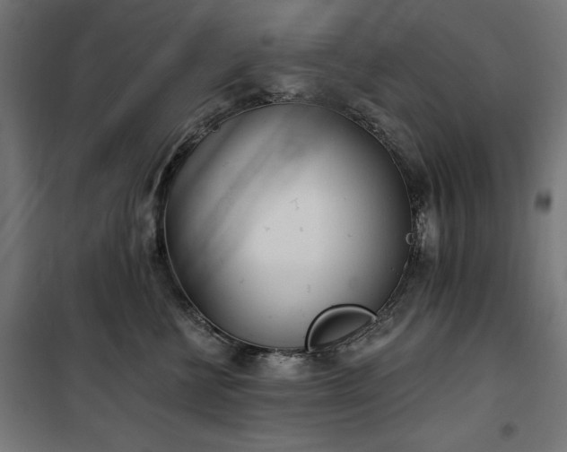 X0000100470570200806201609