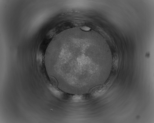 X0000100470574200806201609